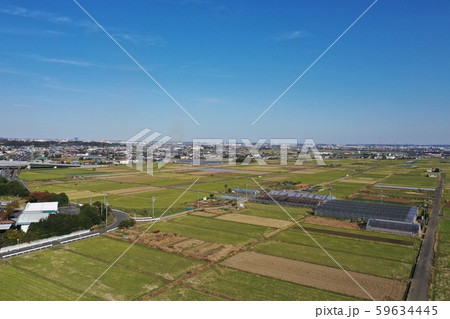 平塚市 空撮 平塚市 空撮 59634445