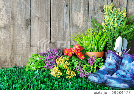 Gardening tools and flowers Gardening tools and flowers 59634477