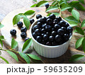 ブルーベリー 59635209