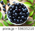 ブルーベリー 59635210