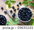 ブルーベリー 59635243