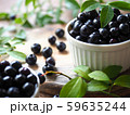 ブルーベリー 59635244