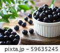 ブルーベリー 59635245