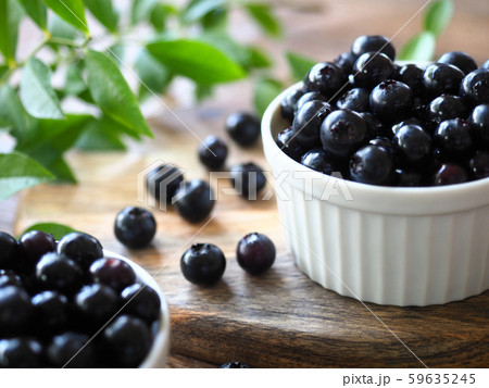 ブルーベリー ブルーベリー 59635245