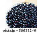ブルーベリー 59635246