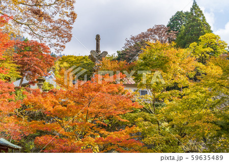 英彦山神宮 参道の紅葉 59635489