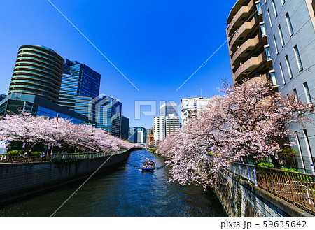 春 サクラ 大崎 目黒川 日本 東京 川沿い リバーサイド 東京観光 オフィスビル 再開発 大崎駅 春 サクラ 大崎 目黒川 日本 東京 川沿い リバーサイド 東京観光 オフィスビル 再開発 大崎駅 59635642