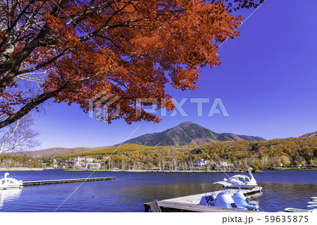 （長野県）白樺湖・湖畔の紅葉と蓼科山 59635875