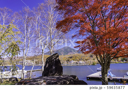 長野県 白樺湖 湖畔の紅葉と蓼科山の写真素材