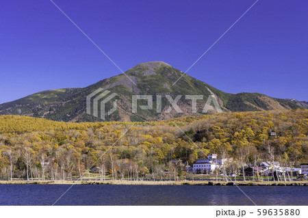 （長野県）白樺湖・湖畔の紅葉と蓼科山 59635880