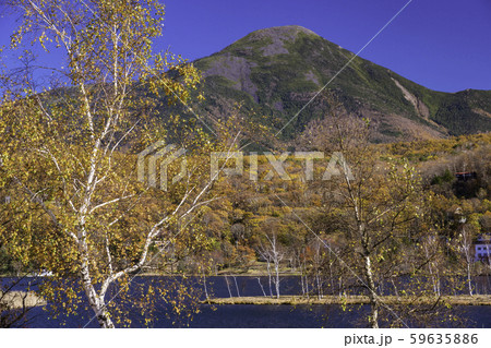 長野県 白樺湖 湖畔の紅葉と蓼科山の写真素材