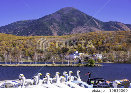 (長野県)白樺湖のスワンボートと蓼科山 (長野県)白樺湖のスワンボートと蓼科山 59636060