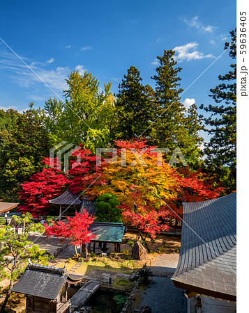 紅葉の長安寺 紅葉の長安寺 59636405