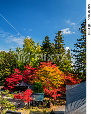 紅葉の長安寺 59636409