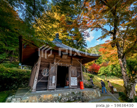 紅葉の長安寺 59636430