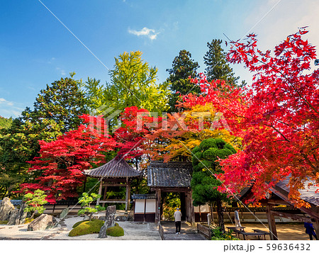 紅葉の長安寺 59636432