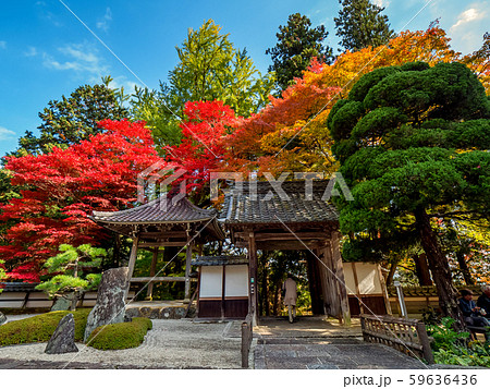 紅葉の長安寺 59636436