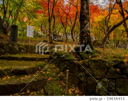 紅葉の長安寺 紅葉の長安寺 59636453