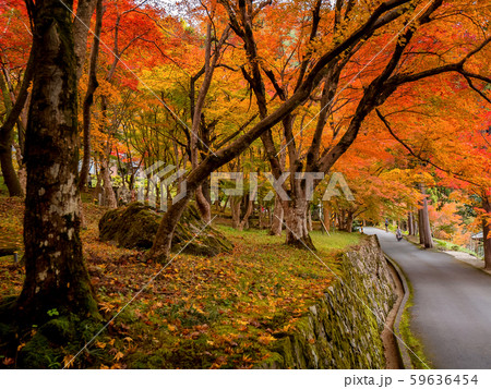 紅葉の長安寺 59636454