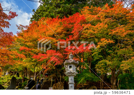 紅葉の長安寺 59636471