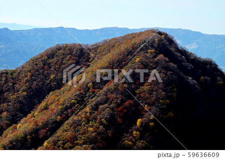 阿蘇五岳 根子岳 大戸尾根登山口から根子岳東峰への登山 大戸尾根ルートの秋景色 阿蘇五岳 根子岳 大戸尾根登山口から根子岳東峰への登山 大戸尾根ルートの秋景色 59636609