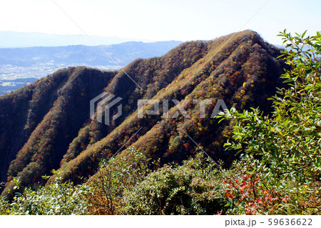 阿蘇五岳　根子岳　大戸尾根登山口から根子岳東峰への登山　大戸尾根ルートの秋景色 59636622