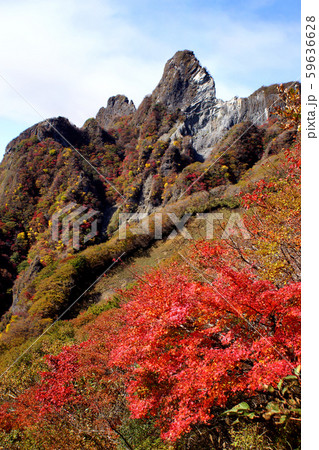 阿蘇五岳　根子岳　大戸尾根登山口から根子岳東峰への登山　大戸尾根ルートの秋景色 59636628