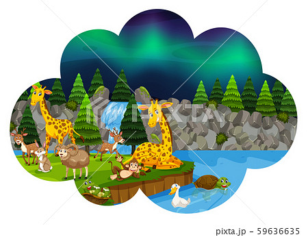 Wild animals at night 59636635