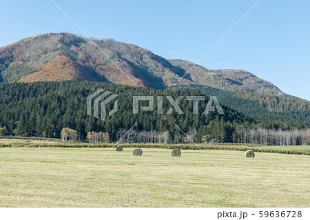 麦稈ロール 59636728