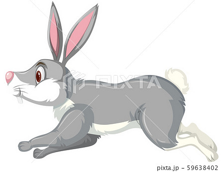 A running rabbit on white backgroud A running rabbit on white backgroud 59638402