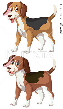 A set of happy beagle 59638481