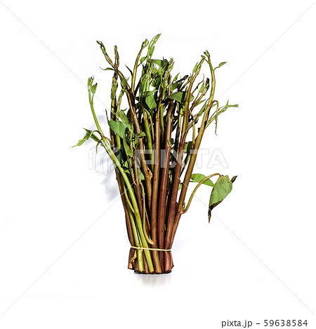 Red morning glory tropical vegetable health Red morning glory tropical vegetable health 59638584