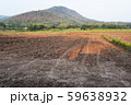 a view of the barren rice field 59638932