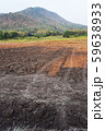 a view of the barren rice field 59638933