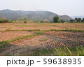a view of the barren rice field 59638935