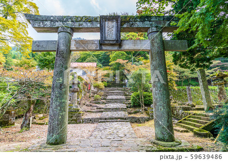 英彦山神宮 参道 英彦山神宮 参道 59639486
