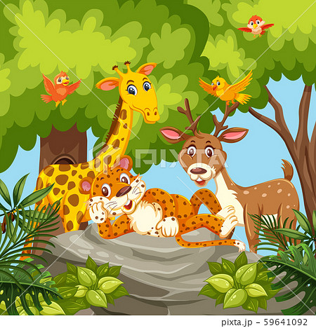 Happy Animals In Jungleのイラスト素材