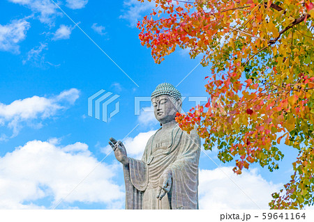 牛久大仏　大仏 59641164