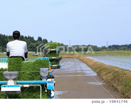 田植え機で田植えをする男性 イメージ 田植え機で田植えをする男性 イメージ 59641746
