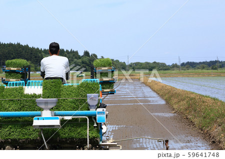 田植え機で田植えをする男性 イメージ 田植え機で田植えをする男性 イメージ 59641748