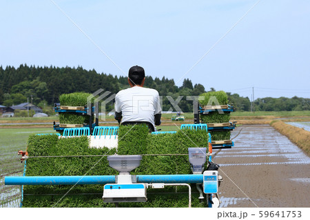 田植え機で田植えをする男性 イメージ 田植え機で田植えをする男性 イメージ 59641753