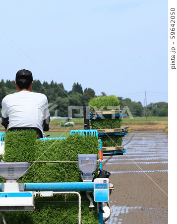 田植え機で田植えをする男性 イメージ 田植え機で田植えをする男性 イメージ 59642050