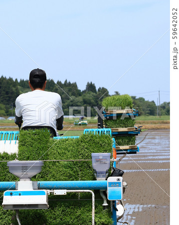 田植え機で田植えをする男性 イメージ 田植え機で田植えをする男性 イメージ 59642052