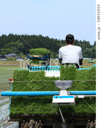 田植え機で田植えをする男性 イメージ 田植え機で田植えをする男性 イメージ 59642054