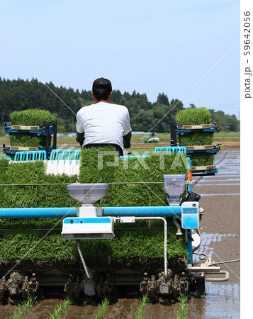 田植え機で田植えをする男性 イメージ 59642056
