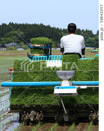 田植え機で田植えをする男性 イメージ 田植え機で田植えをする男性 イメージ 59642057