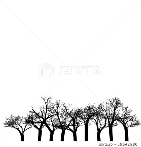 Vector trees background. Black and white texture. Natural backdrop. Plants image. Park illustration Vector trees background. Black and white texture. Natural backdrop. Plants image. Park illustration 59642880