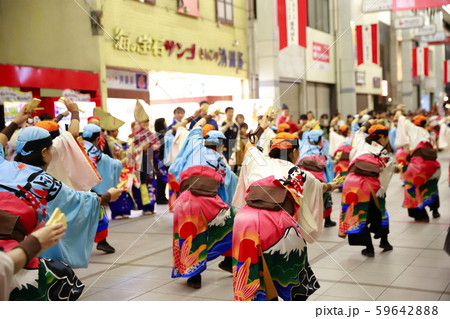 よさこい よさこい 59642888