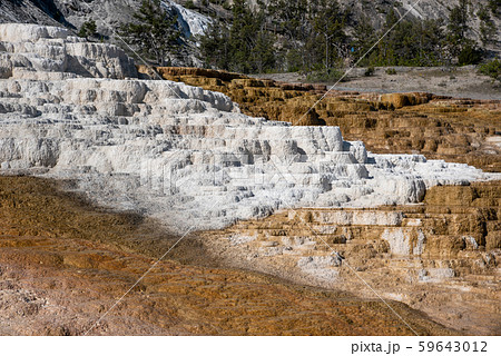 Minerva Terraces with its travertine deposits 59643012