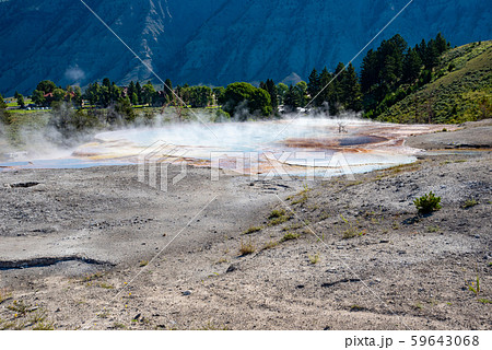 Geothermal feature at mammoth hot spring area at Geothermal feature at mammoth hot spring area at 59643068
